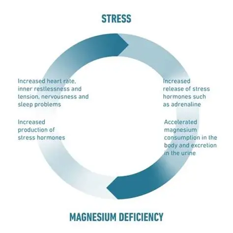 anxiety and low magnesium effects