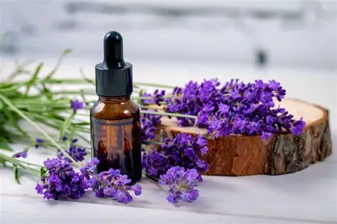 enatural mind body anxiety relief