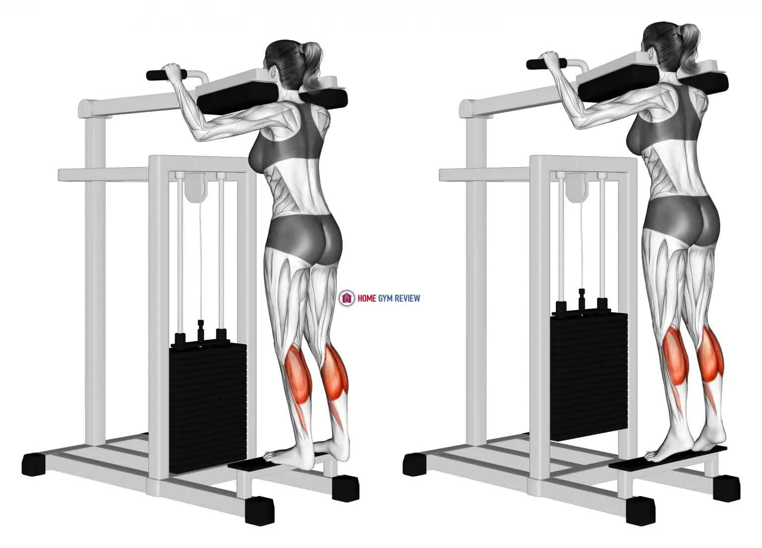 lever Standing Calf Raise